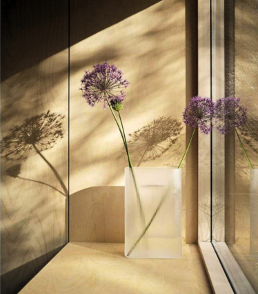 Un vase Muuto au design minimaliste, garni de délicates fleurs d’allium, baigne dans une lumière solaire chaleureuse qui projette un jeu d’ombres poétique sur le mur.